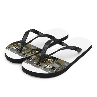 Flip-Flops