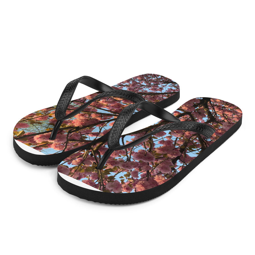 Flip-Flops