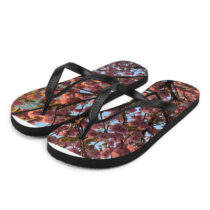 Flip-Flops