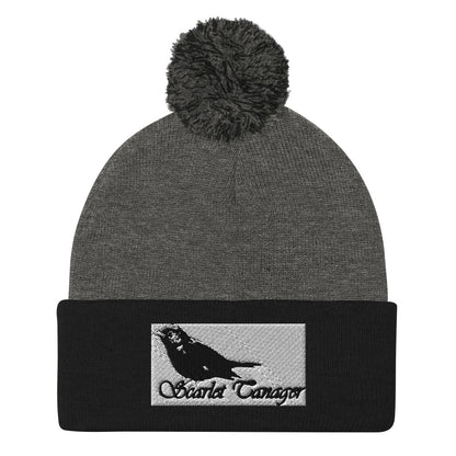 Pom-Pom Beanie