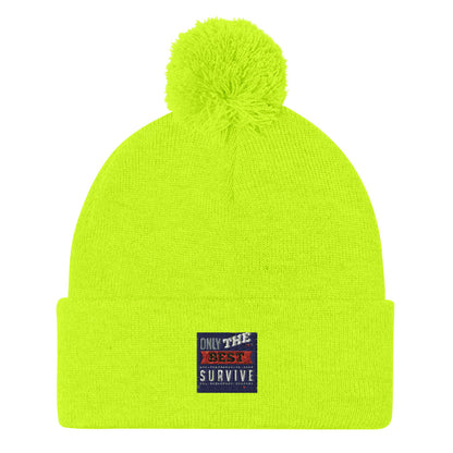Pom-Pom Beanie