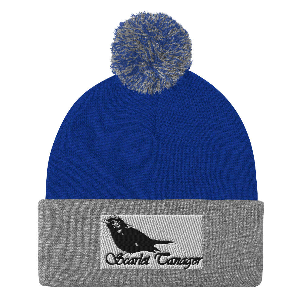 Pom-Pom Beanie