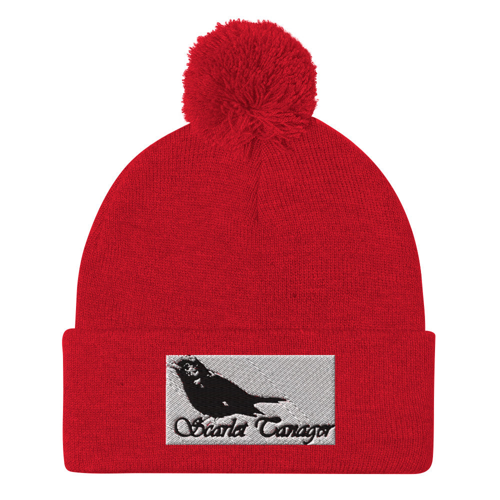Pom-Pom Beanie