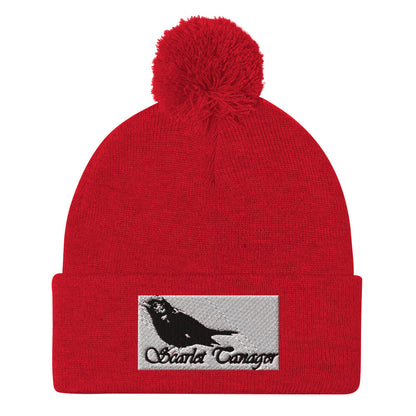 Pom-Pom Beanie