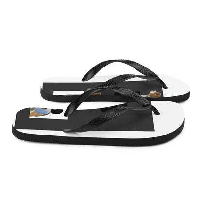 Flip-Flops