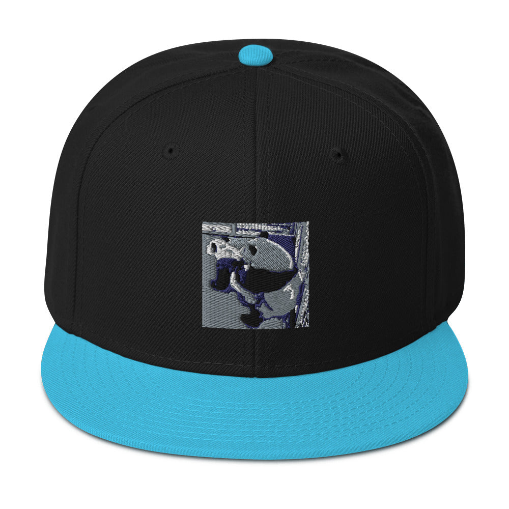 Snapback Hat