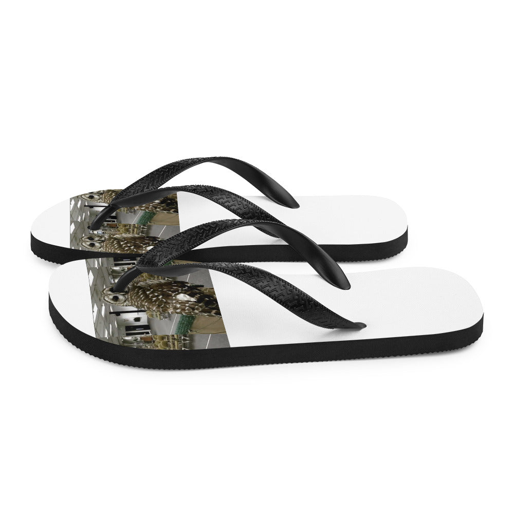 Flip-Flops