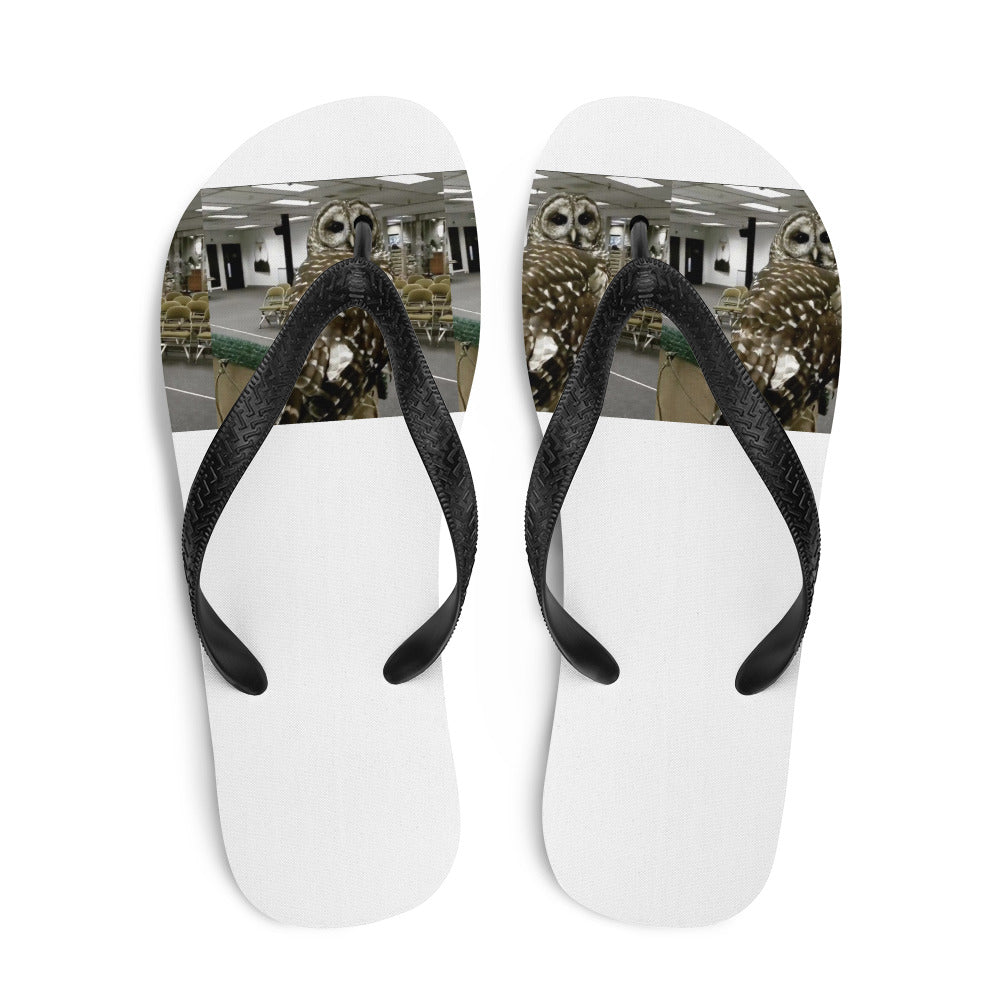 Flip-Flops