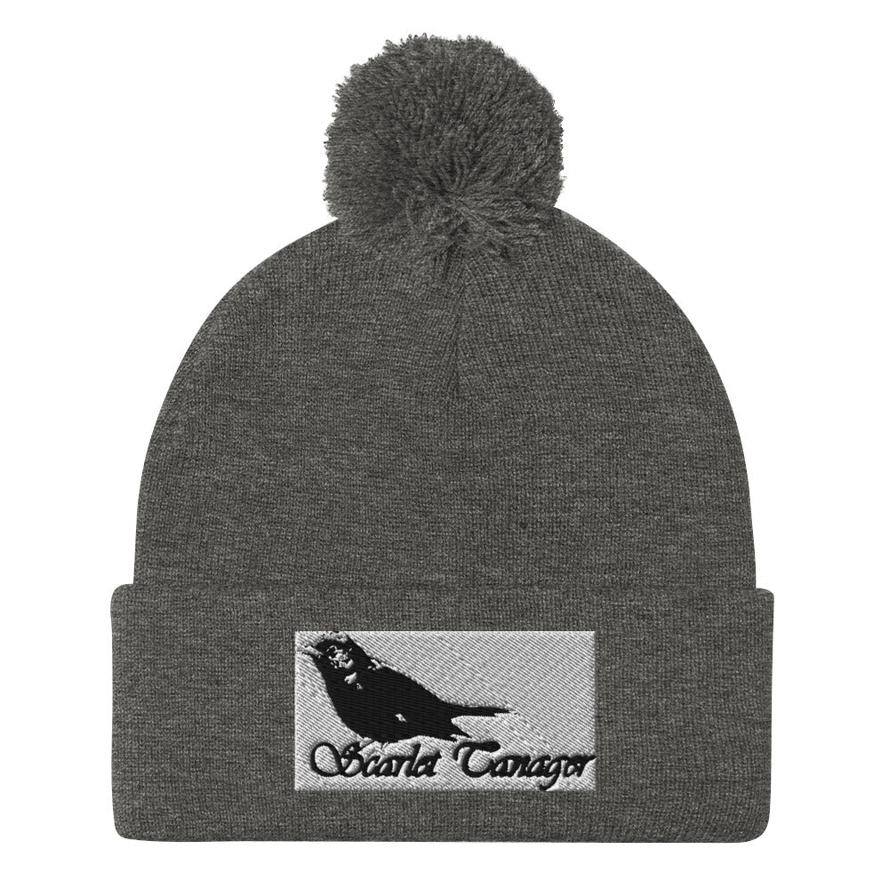 Pom-Pom Beanie