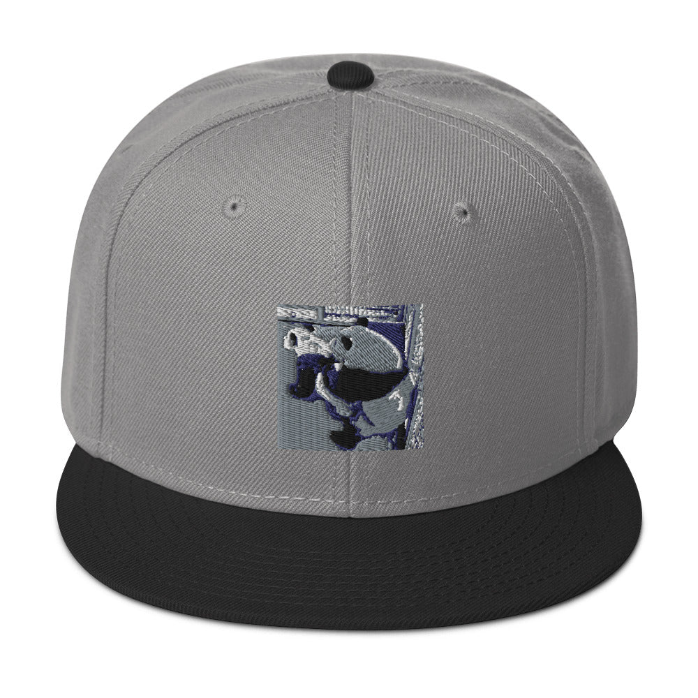 Snapback Hat