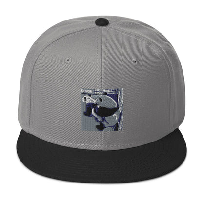 Snapback Hat