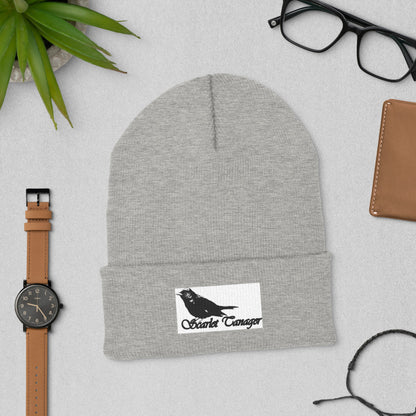 Cuffed Beanie