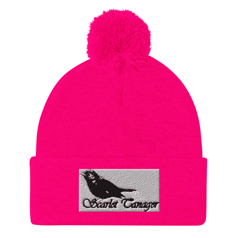 Pom-Pom Beanie