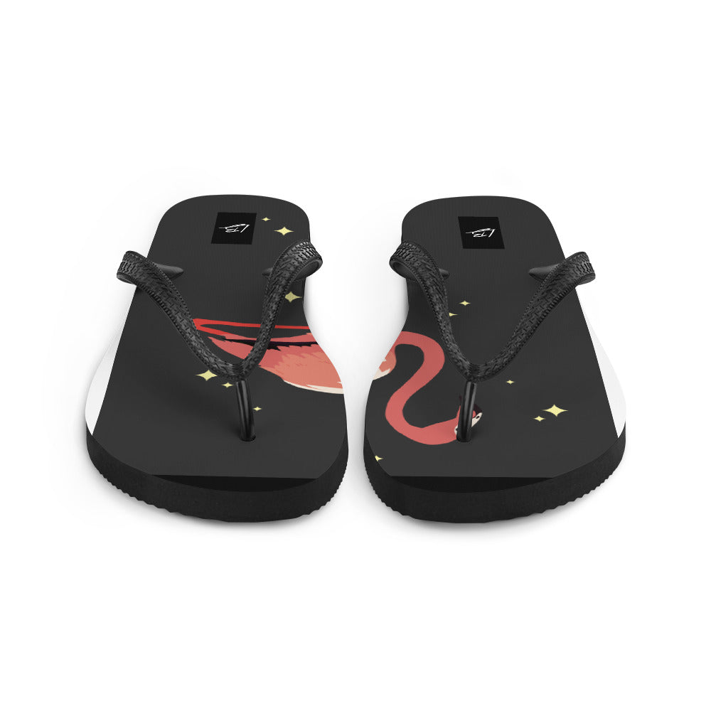 Flip-Flops