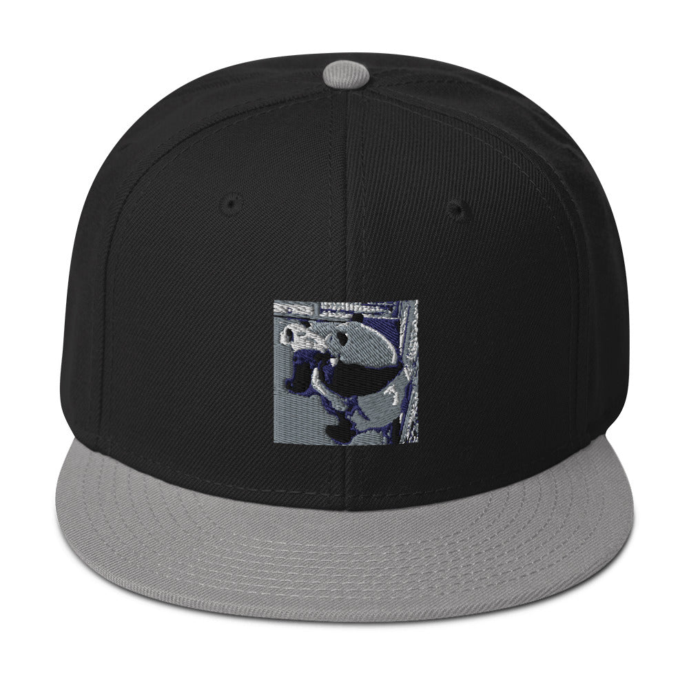 Snapback Hat