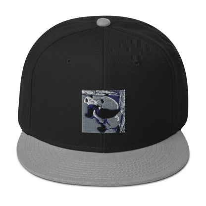 Snapback Hat
