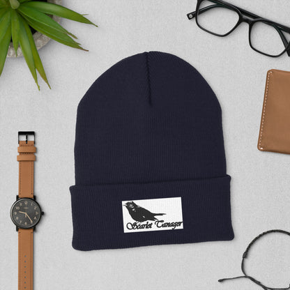 Cuffed Beanie