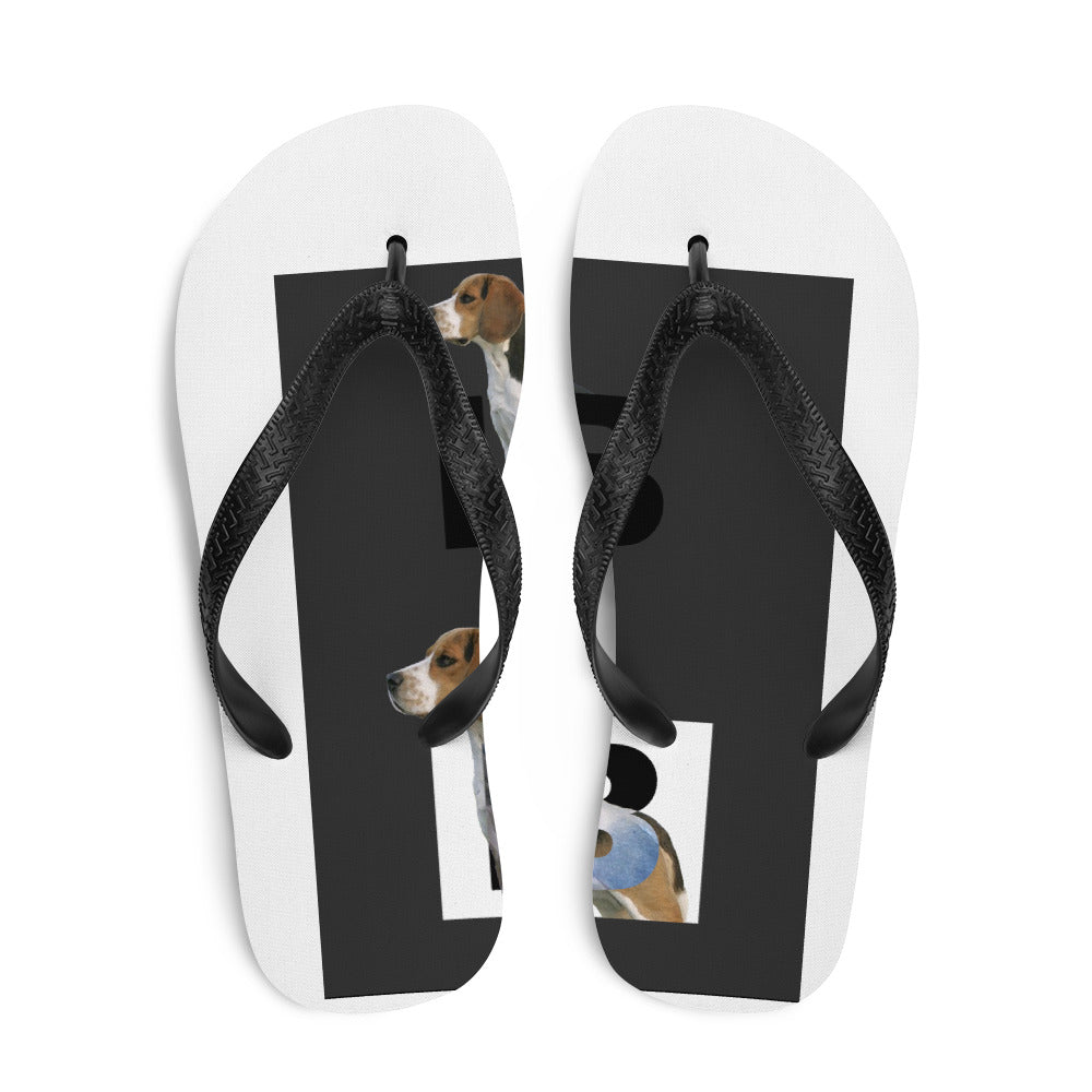 Flip-Flops