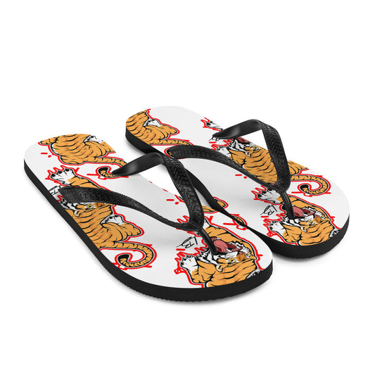 Flip-Flops