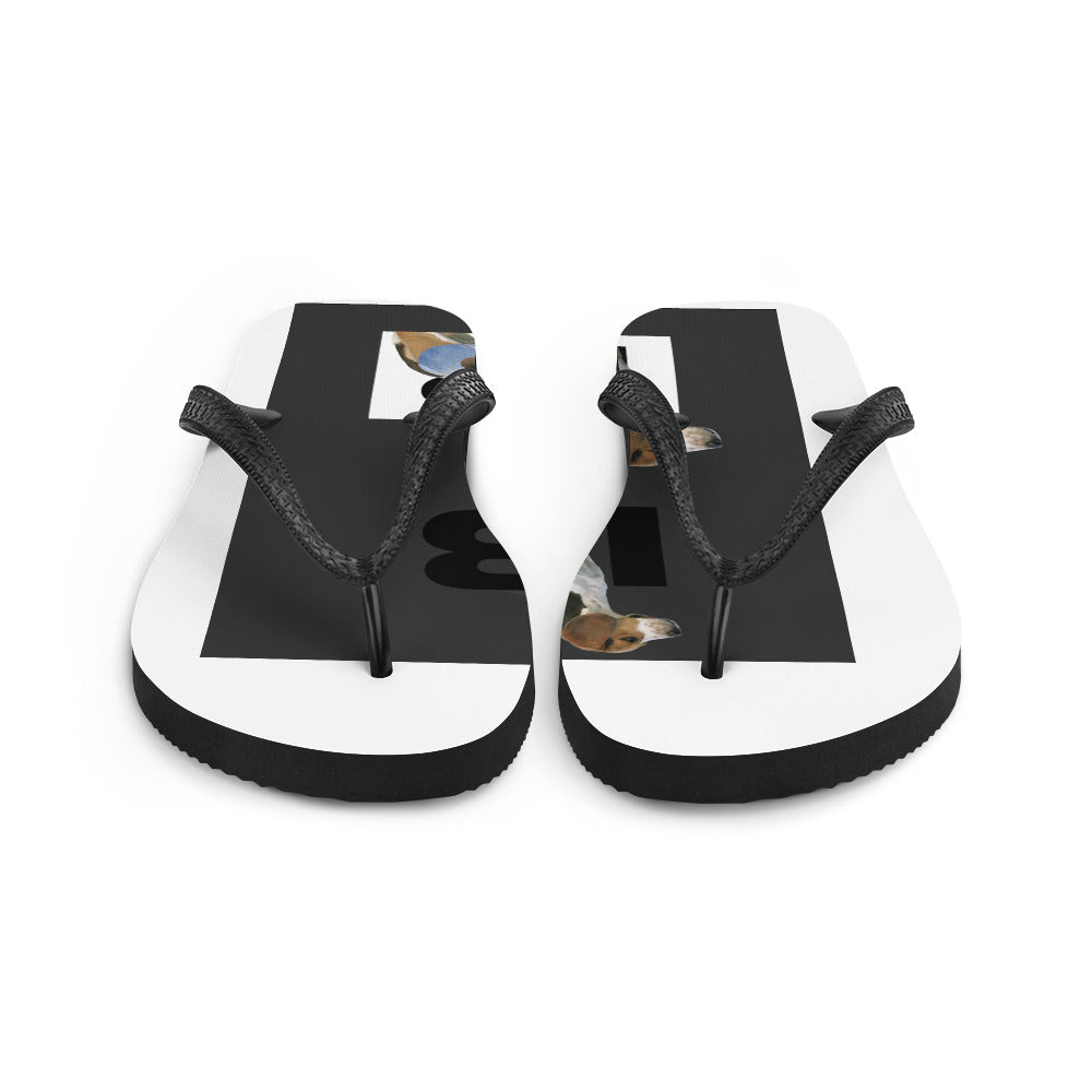 Flip-Flops