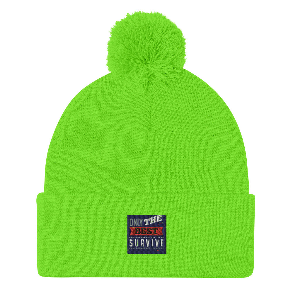 Pom-Pom Beanie