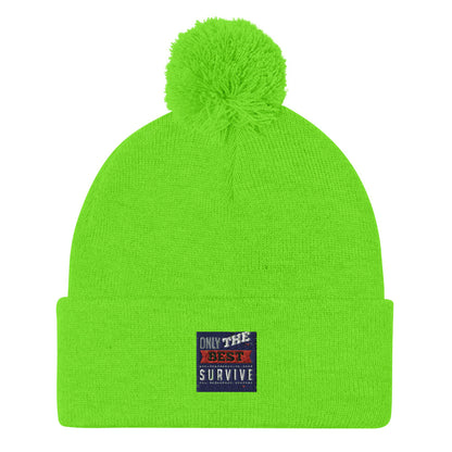 Pom-Pom Beanie