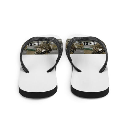 Flip-Flops