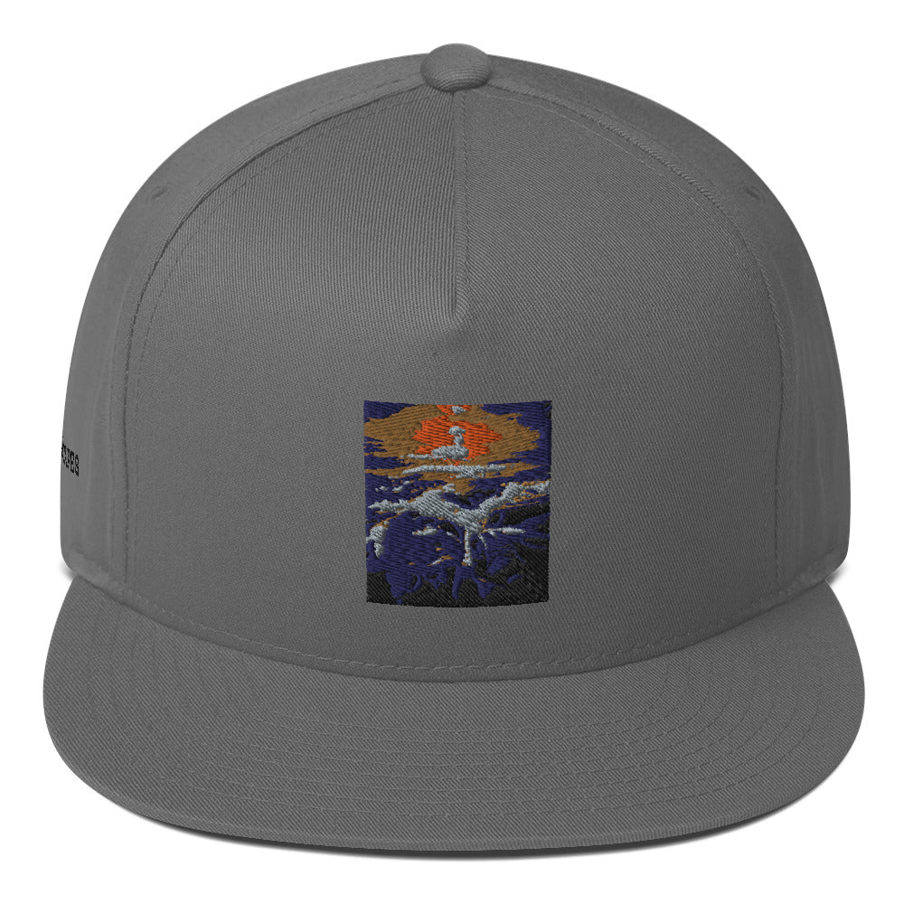 Flat Bill Cap