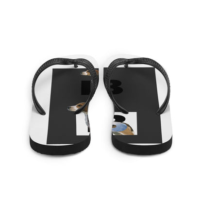 Flip-Flops
