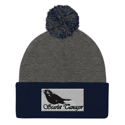Pom-Pom Beanie