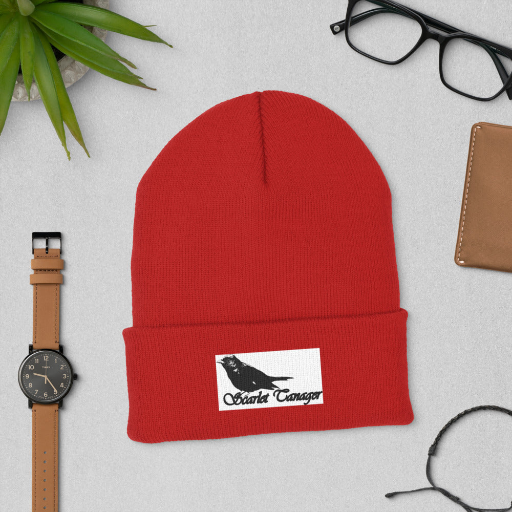 Cuffed Beanie