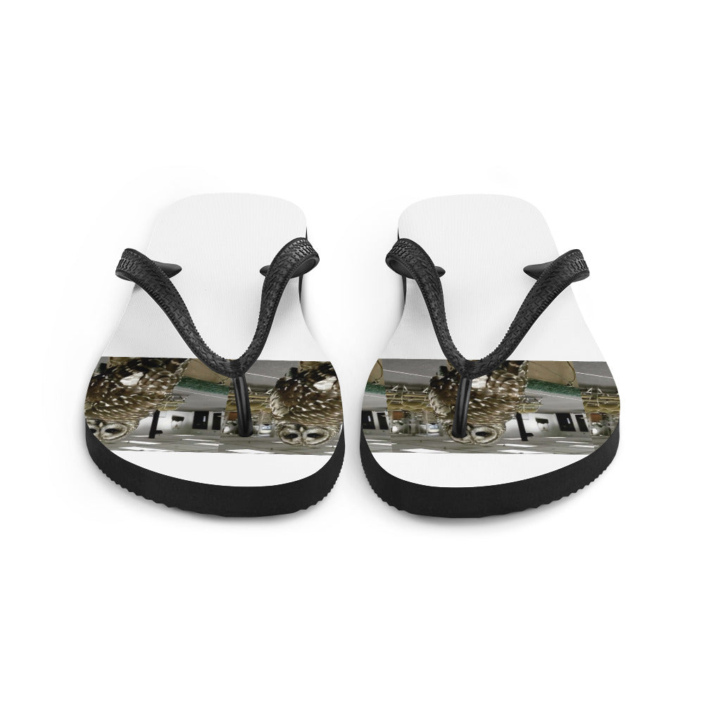 Flip-Flops