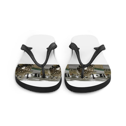 Flip-Flops