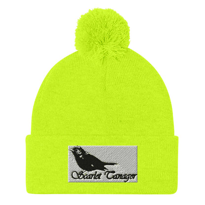 Pom-Pom Beanie