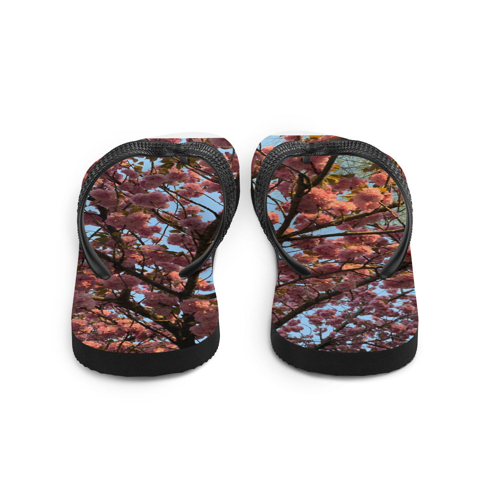 Flip-Flops